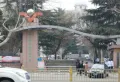 鼎峰中心楼盘图38