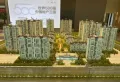碧桂园青璞楼盘图6