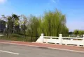 源尚居楼盘图17
