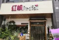 城南6号楼盘图31