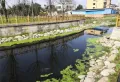 源尚居楼盘图15