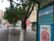 南湖十二橡树户型图