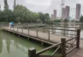 楚天世纪城楼盘图4