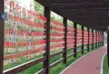 路劲公园上城楼盘图48
