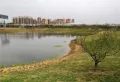 德阳保利国际城香槟国际楼盘图42