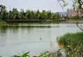 新桥佳苑楼盘图12