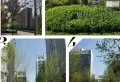 左岸凰城楼盘图30