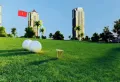 金雁欧城联邦楼盘图43