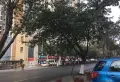 花雨湖畔楼盘图35
