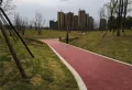 德阳保利国际城香槟国际楼盘图47