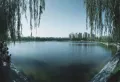 路劲公园上城楼盘图5