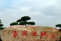 红星中奥广场楼盘图93