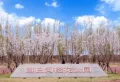 路劲公园上城楼盘图24