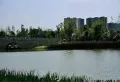 新桥佳苑楼盘图13