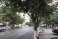 花雨湖畔楼盘图29