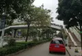 锦峰花园楼盘图7