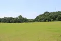 半山枫景楼盘图20