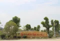 博泰生命树楼盘图64