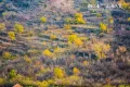 绿地御山台户型图12