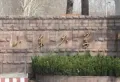 金桥国际楼盘图23