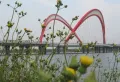 方大上上城楼盘图38