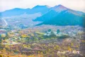 绿地御山台户型图5