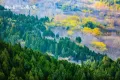 绿地御山台户型图6