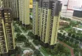 东海湾十二宴二期楼盘图38