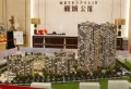 新城公馆楼盘图37