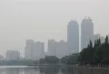 香溢花城楼盘图113