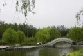 林里天怡楼盘图8