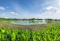 公园88号楼盘图50