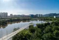 公园88号楼盘图40