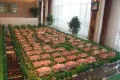 济南天马相城户型图41