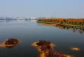 香缇溪岸楼盘图15