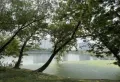 中关村·动漫城楼盘图13