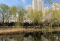 凯兴天下楼盘图32