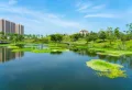 IOI棕榈国际住区楼盘图32