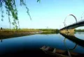 林里天怡楼盘图11
