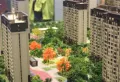 中骏雍景府楼盘图9