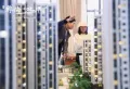 彝海北岸楼盘图6