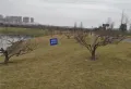 德阳保利国际城香槟国际楼盘图26