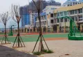 鲁商御龙湾楼盘图36