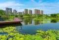 IOI棕榈国际住区楼盘图27