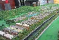 鲁商御龙湾楼盘图16