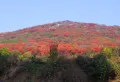 国华新经典楼盘图38