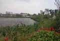 海伦堡协信峰汇苑·悦邻楼盘图34