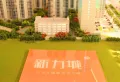 新力城楼盘图27