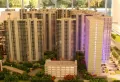 新力城楼盘图18
