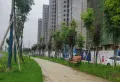 碧桂园玖玺楼盘图27